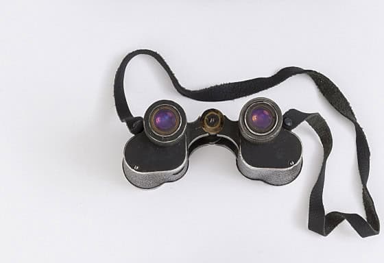 Бинокль как символ поиска идеального круиза