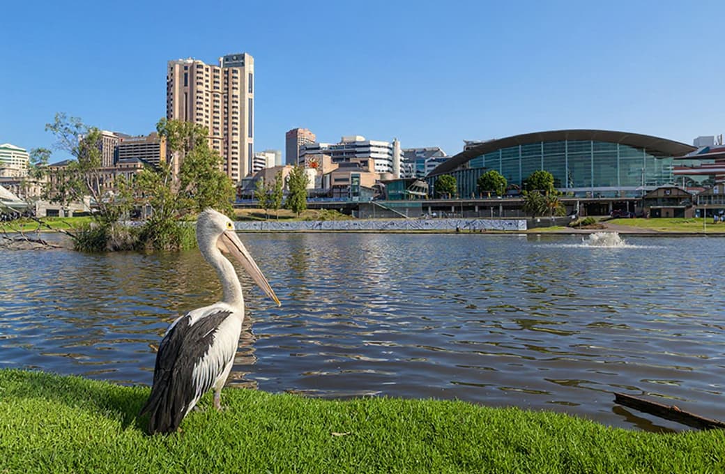 Фотоальбом круиза 8 н Тасмания. Фото 1