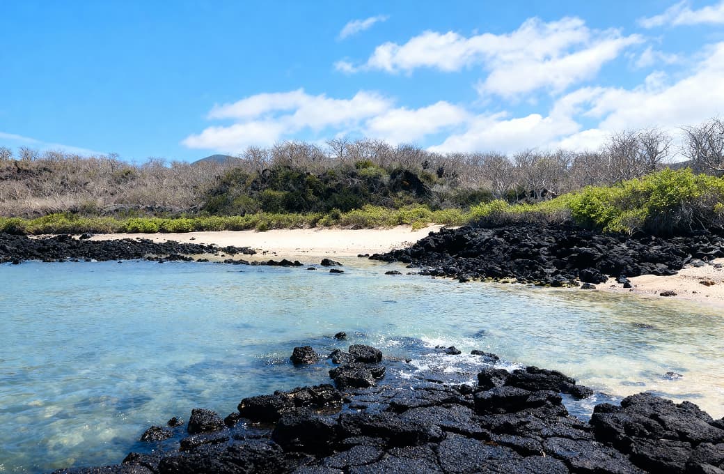 Фотоальбом круиза 7 н Галапагосские острова. Фото 1