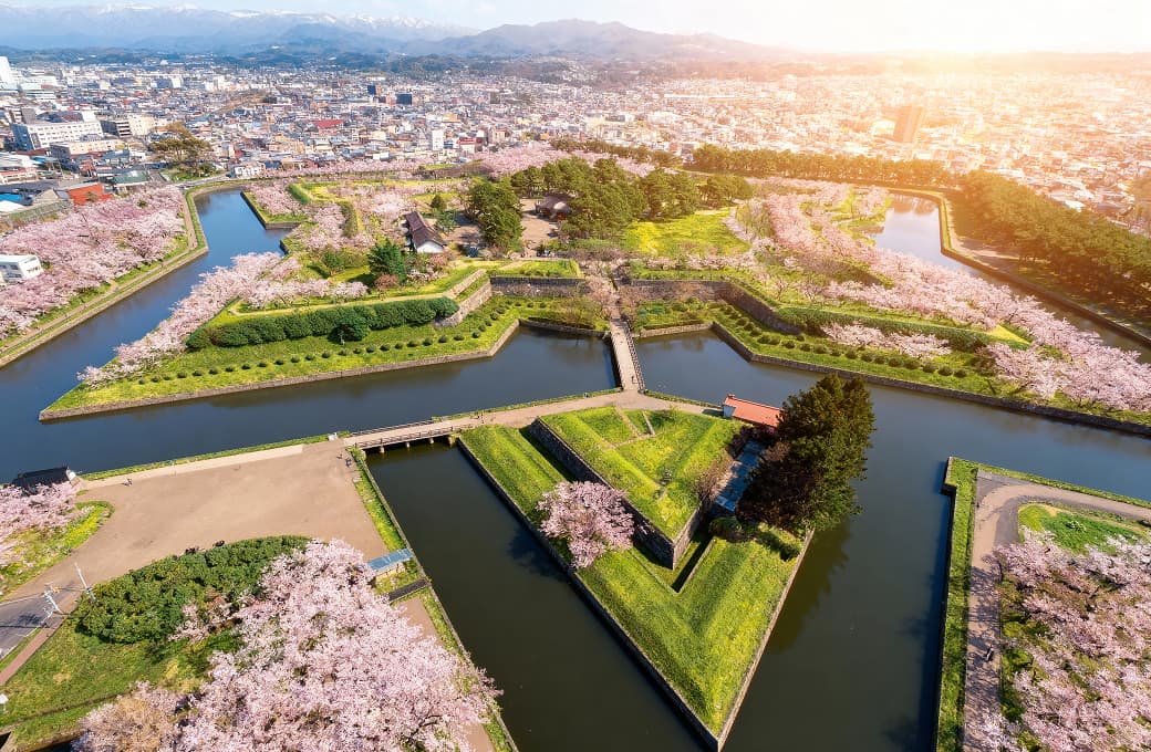 Фотоальбом круиза 5 н Корея и Япония. Фото 1