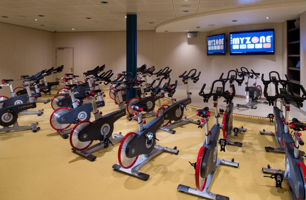 Лайнер Harmony Of The Seas, компании Royal Caribbean International. Фото 1