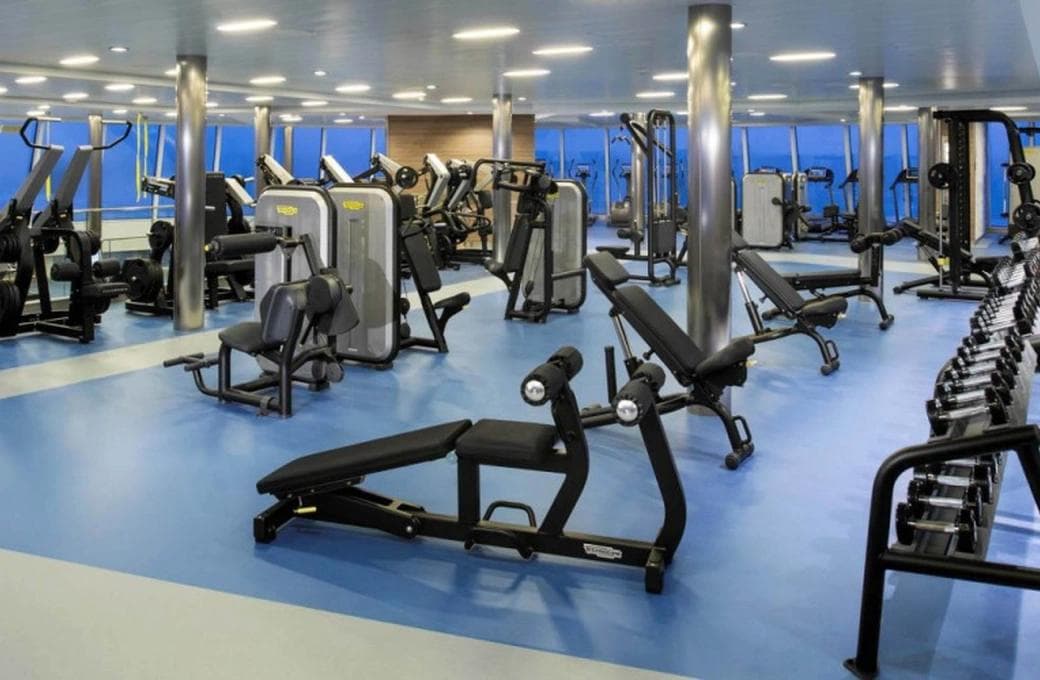 Лайнер Ovation Of The Seas, компании Royal Caribbean International. Фото 1