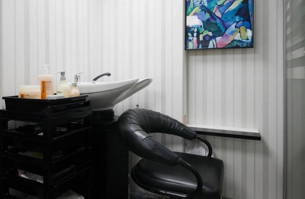 Лайнер Максим Литвинов, компании Донинтурфлот. Фото 1