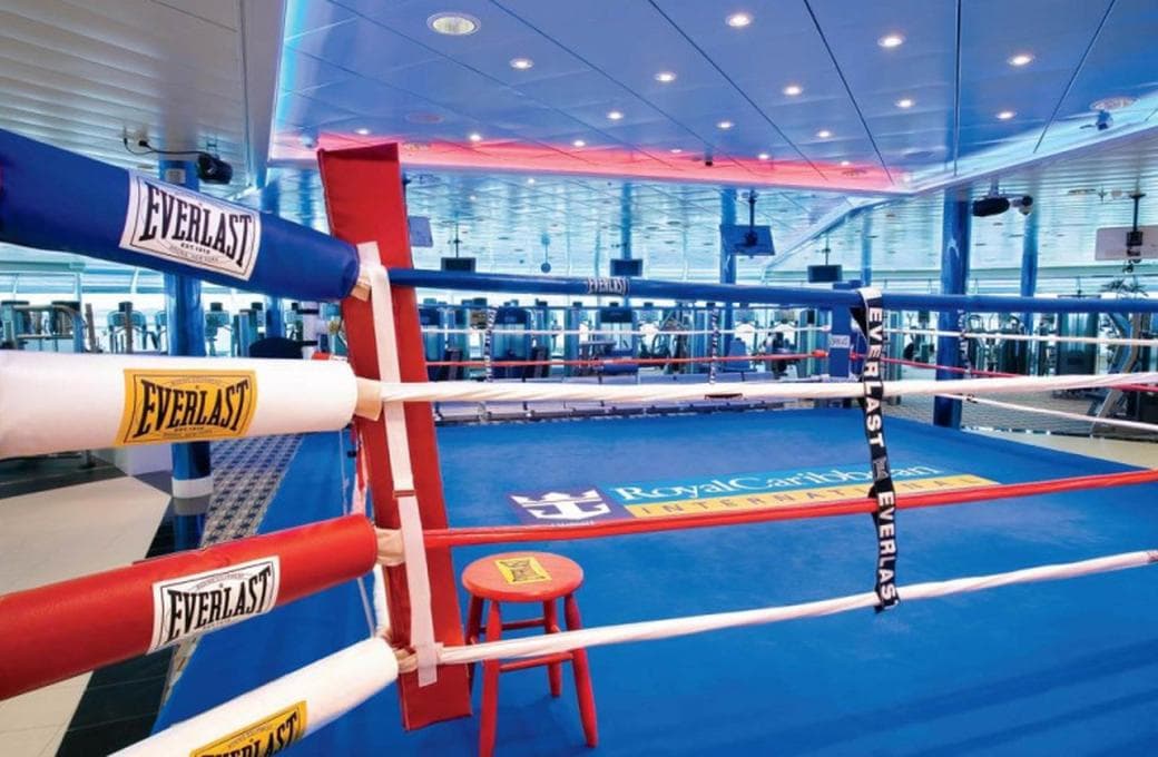 Лайнер Freedom Of The Seas, компании Royal Caribbean International. Фото 1